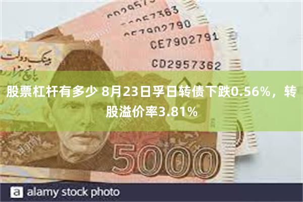 股票杠杆有多少 8月23日孚日转债下跌0.56%，转股溢价率3.81%