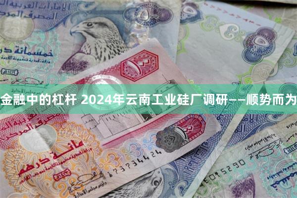 金融中的杠杆 2024年云南工业硅厂调研——顺势而为