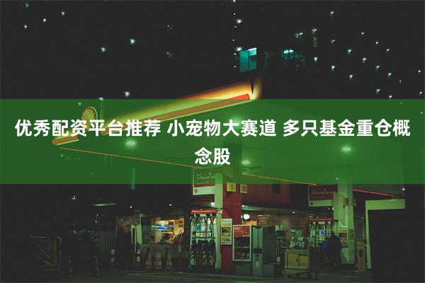 优秀配资平台推荐 小宠物大赛道 多只基金重仓概念股