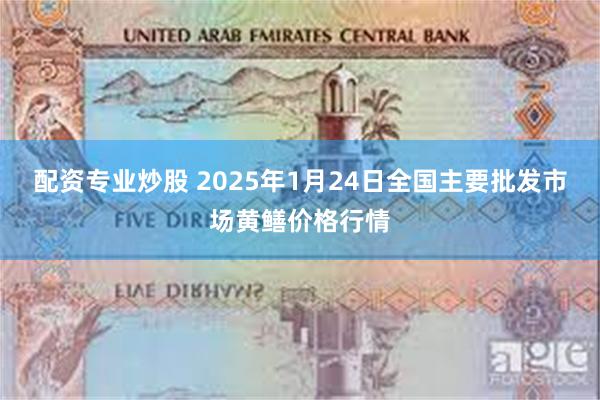 配资专业炒股 2025年1月24日全国主要批发市场黄鳝价格行情