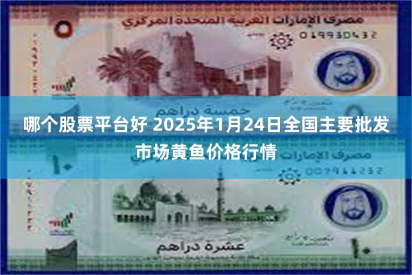 哪个股票平台好 2025年1月24日全国主要批发市场黄鱼价格行情