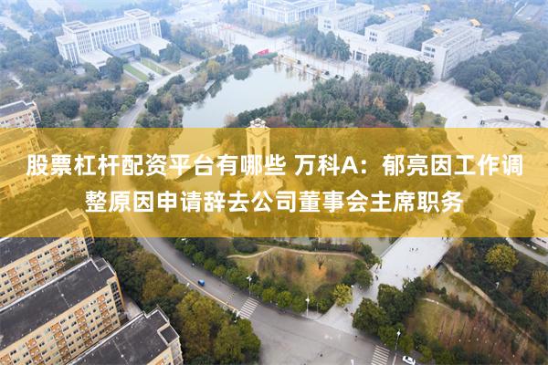 股票杠杆配资平台有哪些 万科A：郁亮因工作调整原因申请辞去公司董事会主席职务