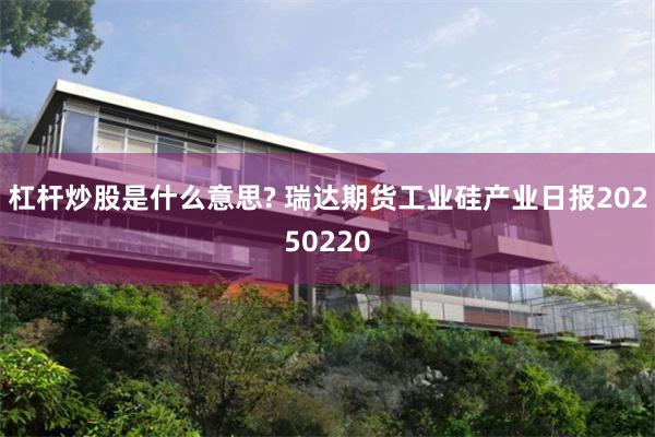 杠杆炒股是什么意思? 瑞达期货工业硅产业日报20250220